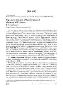 О редких птицах в Оренбургской области в 2011 году