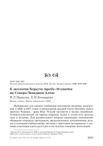 К экологии беркута Aquila chrysaetos на Северо-Западном Алтае