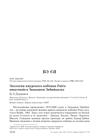 Экология амурского кобчика Falco amurensis в Западном Забайкалье