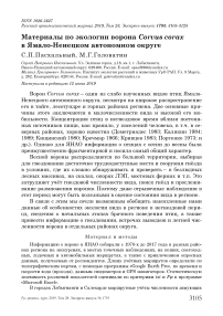 Материалы по экологии ворона Corvus corax в Ямало-Ненецком автономном округе