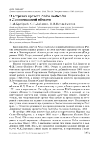 О встречах кречета Falco rusticolus в Ленинградской области