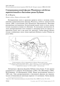 Северокавказский фазан Phasianus colchicus Septentrionalis в бассейне реки Кубани