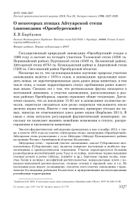 О некоторых птицах айтуарской степи (заповедник "Оренбургский")