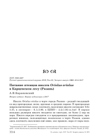 Питание птенцов иволги Oriolus oriolus в Карцевском лесу (Рязань)