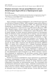 Первая находка гнезда рыжебрюхого дятла Dendrocopos hyperythrus в Приморском крае