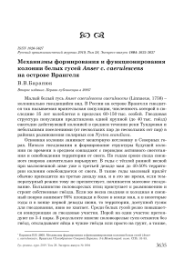 Механизмы формирования и функционирования колонии белых гусей Anser C. Caerulescens на острове Врангеля