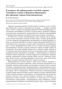 К вопросу об урбанизации голубой сороки Cyanopica cyanus в Верхнем Приамурье (на примере города Благовещенска)