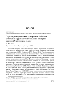 Случаи разорения гнёзд воронка Delichon urbicum и других птиц большим пёстрым дятлом Dendrocopos major