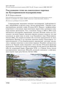 Гнездование птиц на самоходных паромах на Бухтарминском водохранилище