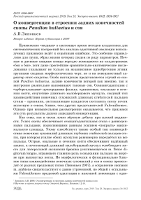 О конвергенции в строении задних конечностей скопы Pandion haliaetus и сов