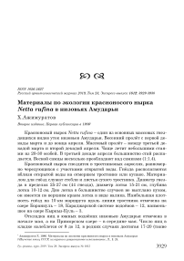 Материалы по экологии красноносого нырка Netta rufina в низовьях Амударьи