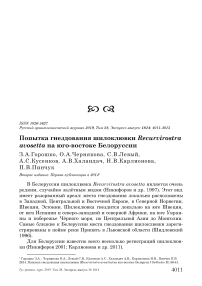 Попытка гнездования шилоклювки Recurvirostra avosetta на юго-востоке Белоруссии