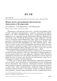 Новое место гнездования шилохвости Anas acuta в Белоруссии