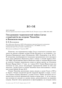 Гнездование чернохвостой чайки Larus crassirostris на острове Чихачёва в Японском море