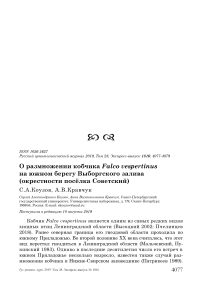 О размножении кобчика Falco vespertinus на южном берегу Выборгского залива (окрестности посёлка Советский)