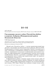 Гнездование малого зуйка Charadrius dubius в деревне Дубровы (Новоржевский район Псковской области)