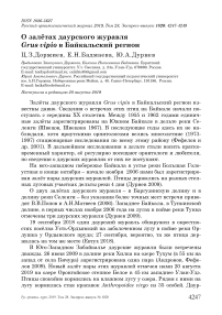 О залётах даурского журавля Grus vipio в Байкальский регион