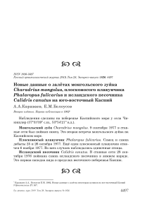 Новые данные о залётах монгольского зуйка Charadrius mongolus, плосконосого плавунчика Phalaropus fulicarius и исландского песочника Calidris canutus на Юго-Восточный Каспий