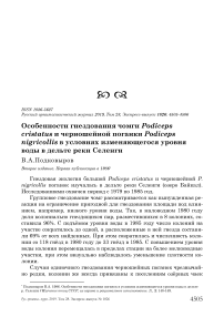 Особенности гнездования чомги Podiceps cristatus и черношейной поганки Podiceps nigricollis в условиях изменяющегося уровня воды в дельте реки Селенги