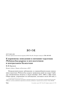 К кормовому поведению и питанию турухтана Philomachus pugnax в Юго-Восточном и Центральном Казахстане