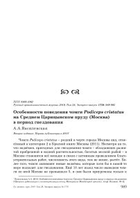 Особенности поведения чомги Podiceps cristatus на среднем Царицынском пруду (Москва) в период гнездования