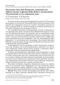 Болотная сова Asio flammeus, домовый сыч Athene noctua и филин Bubo bubo в заповеднике "Ростовский" и его охранной зоне