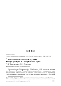 О численности охотского улита Tringa guttifer в Хабаровском крае