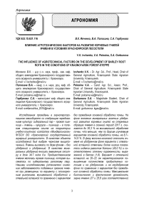 Влияние агротехнических факторов на развитие корневых гнилей ячменя в условиях Красноярской лесостепи