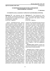 Патоморфологическая диагностика аспирационной плевропневмонии у жеребенка