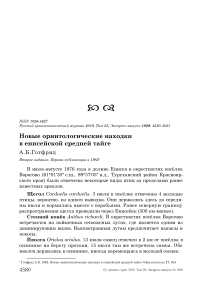 Новые орнитологические находки в Енисейской средней тайге