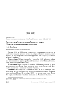 Редкие залётные и пролётные кулики Шацкого национального парка