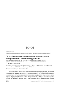 Об особенностях гнездовании лапландского подорожника Calcarius lapponicus в антропогенных местообитаниях Ямала