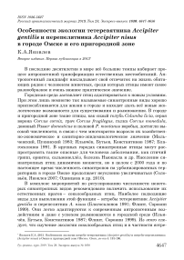 Особенности экологии тетеревятника Accipiter gentilis и перепелятника Accipiter nisus в городе Омске и его пригородной зоне