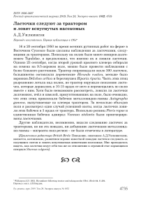 Ласточки следуют за трактором и ловят вспугнутых насекомых