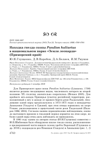 Находка гнезда скопы Pandion haliaetus в национальном парке "Земля леопарда" (Приморский край)