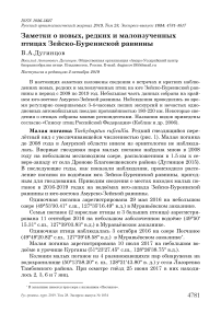 Заметки о новых, редких и малоизученных птицах Зейско-Буреинской равнины