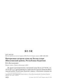 Интересные встречи птиц на Белом озере (Иволгинский район, Республика Бурятия)