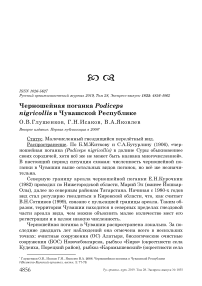 Черношейная поганка Podiceps nigricollis в Чувашской Республике