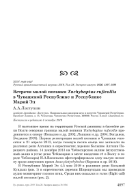 Встречи малой поганки Tachybaptus ruficollis в Чувашской Республике и Республике Марий Эл