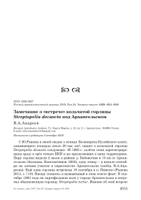 Замечание о "встрече" кольчатой горлицы Streptopelia decaocto под Архангельском