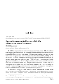 Орлан-белохвост Haliaeetus albicilla в Волгоградском Заволжье