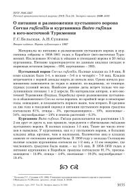 О питании и размножении пустынного ворона Corvus ruficollis и курганника Buteo rufinus в Юго-Восточной Туркмении