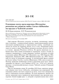 Успешная охота орла-карлика Hieraaetus pennatus на озёрную чайку Larus ridibundus на прудах в Чуйской долине