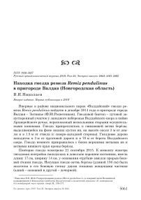 Находка гнезда ремеза Remiz pendulinus в пригороде Валдая (Новгородская область)