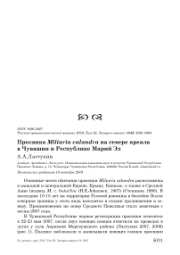 Просянка Miliaria calandra на севере ареала в Чувашии и Республике Марий Эл