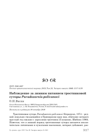 Наблюдение за зимним питанием тростниковой суторы Paradoxornis polivanovi