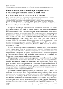 Инвазия кедровок Nucifraga caryocatactes в Рязанскую область осенью 2018 года