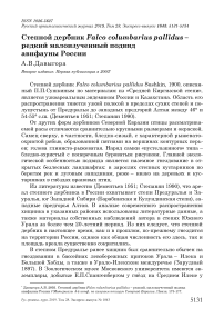 Степной дербник Falco columbarius pallidus - редкий малоизученный подвид авифауны России