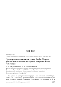 Новое свидетельство питания фифи Tringa glareola сеголетками озёрной лягушки Rana ridibunda