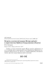 Встреча золотистой щурки Merops apiaster в окрестностях Ирбита (Свердловская область)